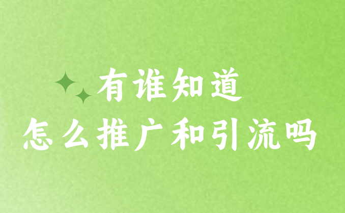 有谁知道怎么推广和引流吗