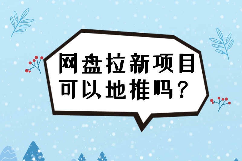 网盘拉新项目可以地推吗？